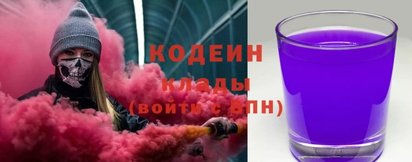 гидра Покачи