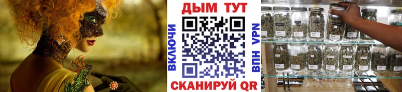 закладки Томари Бошки марихуана SATIVA & INDICA